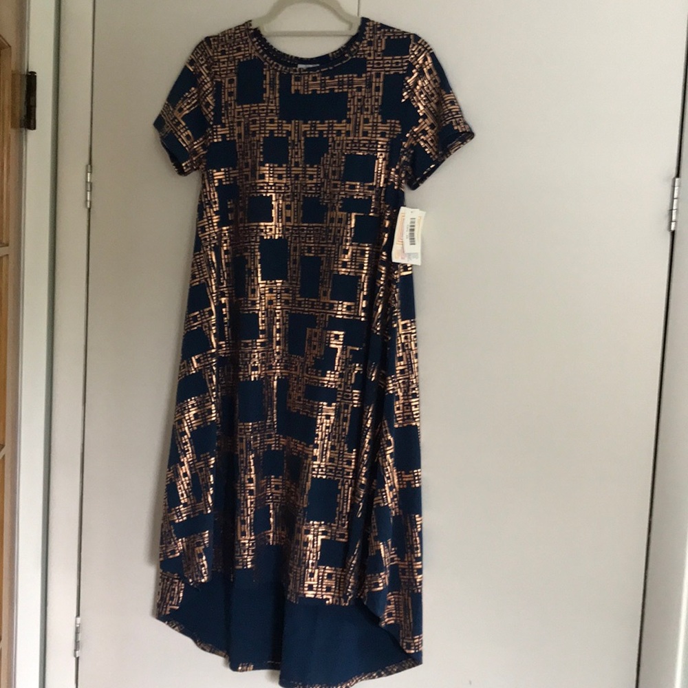 LuLaRoe XS Carly dress
